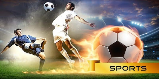 99win Sports Brings Exciting Betting Thrills To Fa...