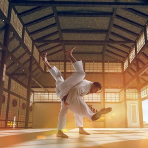 Evolution of Pinning Techniques in Judo After International Judo Federation Rule...