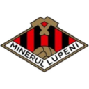 Minerul Lupeni