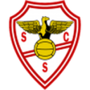 Salgueiros