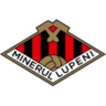 Minerul Lupeni