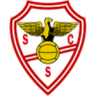 Salgueiros